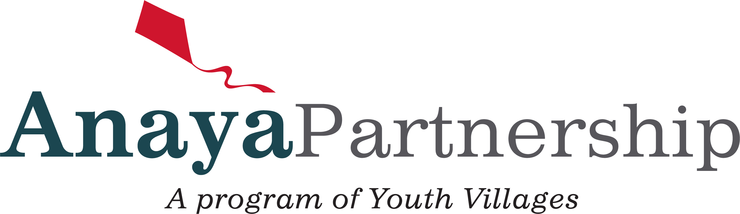 AnayaLogo-Horz Anaya Partnership logo